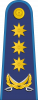 上将
