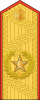 大将