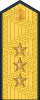 中将