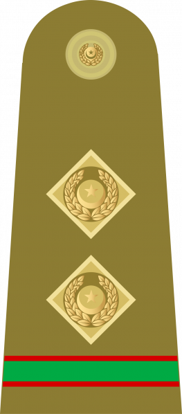 文件:Subedar Pak Army.png