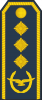 中将