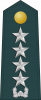 大将
