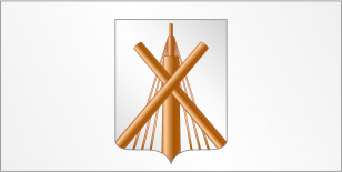 博布鲁伊斯克市旗