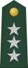 中将